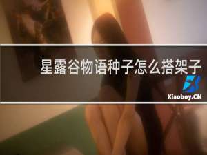 星露谷物语种子怎么搭架子