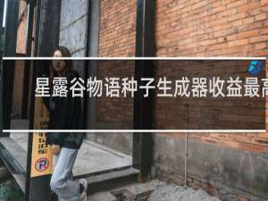 星露谷物语种子生成器收益最高