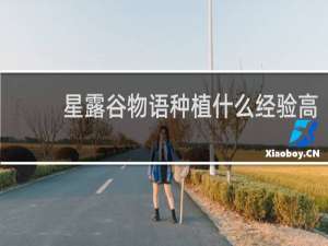 星露谷物语种植什么经验高