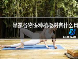 星露谷物语种植橡树有什么用