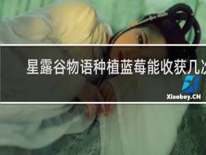 星露谷物语种植蓝莓能收获几次