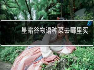 星露谷物语种菜去哪里买