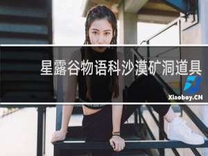 星露谷物语科沙漠矿洞道具