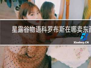 星露谷物语科罗布斯在哪卖东西