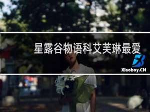 星露谷物语科艾芙琳最爱