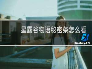 星露谷物语秘密条怎么看