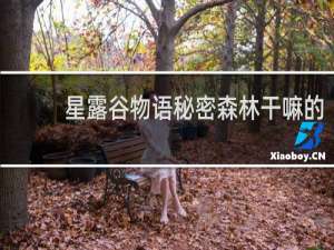 星露谷物语秘密森林干嘛的
