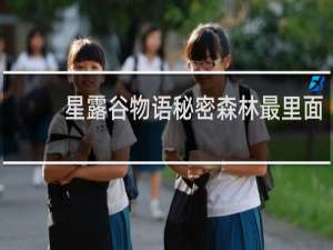星露谷物语秘密森林最里面