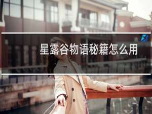 星露谷物语秘籍怎么用