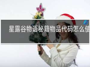星露谷物语秘籍物品代码怎么使用