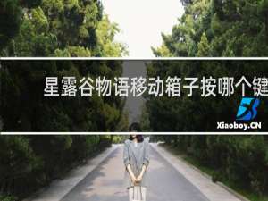 星露谷物语移动箱子按哪个键