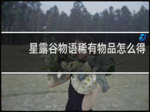 星露谷物语稀有物品怎么得