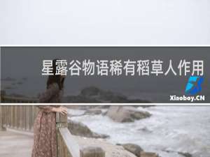 星露谷物语稀有稻草人作用