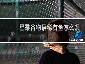 星露谷物语稀有鱼怎么喂