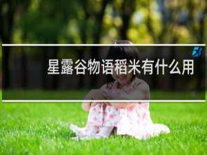 星露谷物语稻米有什么用