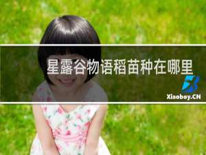 星露谷物语稻苗种在哪里