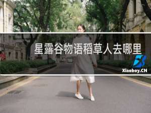 星露谷物语稻草人去哪里