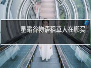 星露谷物语稻草人在哪买