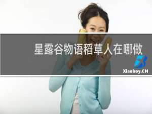 星露谷物语稻草人在哪做