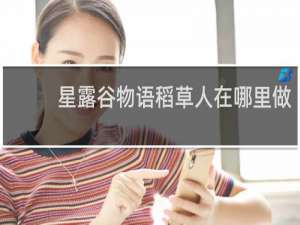 星露谷物语稻草人在哪里做