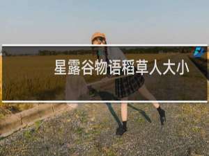 星露谷物语稻草人大小