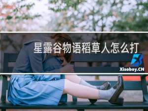 星露谷物语稻草人怎么打