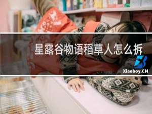 星露谷物语稻草人怎么拆