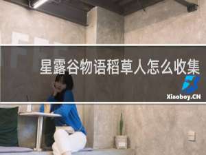 星露谷物语稻草人怎么收集