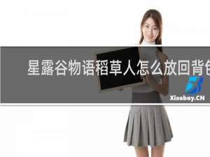 星露谷物语稻草人怎么放回背包