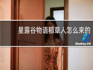 星露谷物语稻草人怎么来的