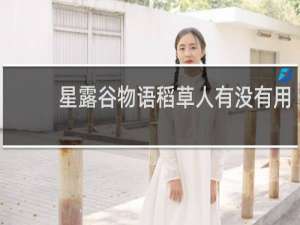 星露谷物语稻草人有没有用