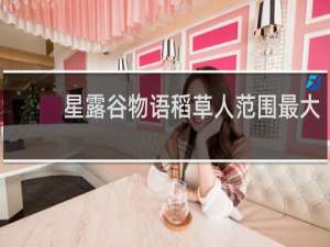 星露谷物语稻草人范围最大