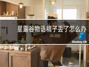 星露谷物语稿子丢了怎么办