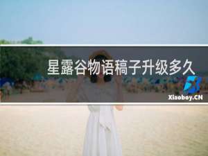 星露谷物语稿子升级多久