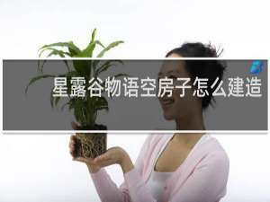 星露谷物语空房子怎么建造