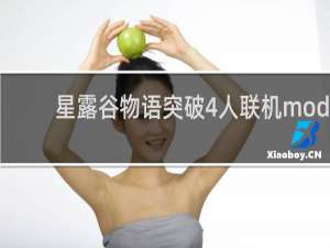 星露谷物语突破4人联机mod