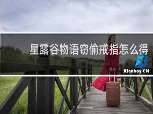 星露谷物语窃偷戒指怎么得