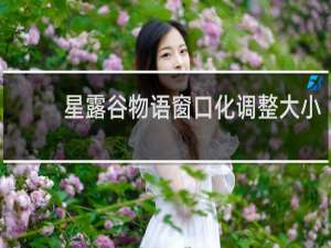 星露谷物语窗口化调整大小