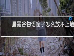 星露谷物语窗子怎么放不上墙