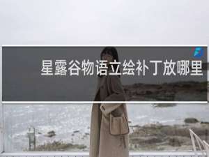星露谷物语立绘补丁放哪里