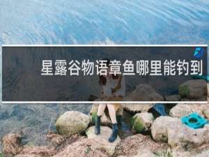 星露谷物语章鱼哪里能钓到