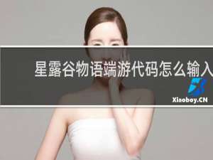 星露谷物语端游代码怎么输入