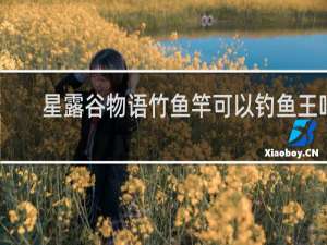 星露谷物语竹鱼竿可以钓鱼王吗