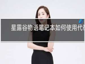 星露谷物语笔记本如何使用代码