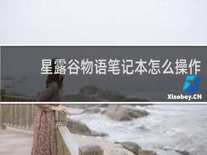 星露谷物语笔记本怎么操作