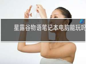 星露谷物语笔记本电脑能玩吗