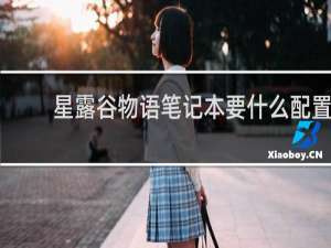 星露谷物语笔记本要什么配置