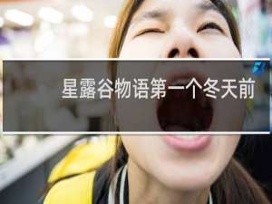 星露谷物语第一个冬天前