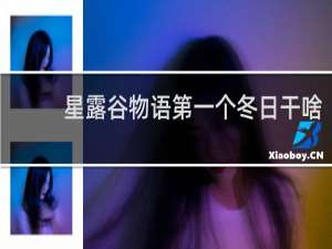 星露谷物语第一个冬日干啥