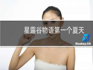 星露谷物语第一个夏天